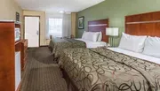 Room Photo for Baymont Inn & Suites Pigeon Forge